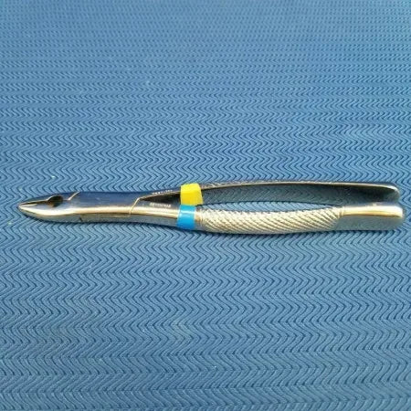 Dental Stainless Steel Forceps #1 image 1