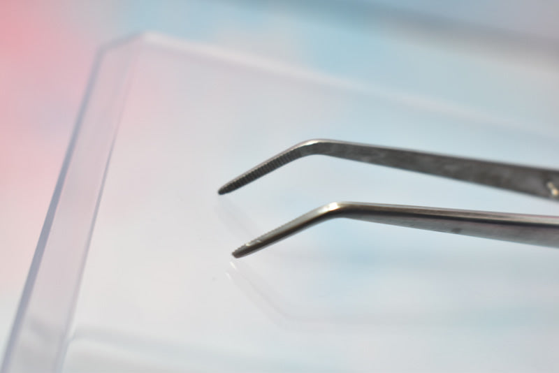 Stainless Cotton Forceps - #0001 - Dental Equipment Store