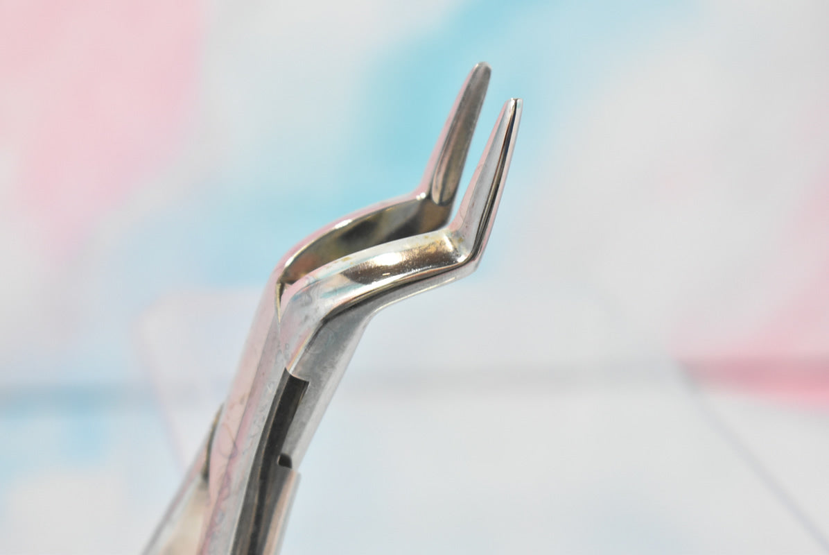 Tarno 65 Forceps - Dental Equipment Store