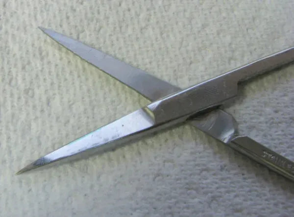 Lot of 10 Stainless Pakistan Dental Ortho Orthodontic Straight Scissors 4.5" - Dental Equipment Store