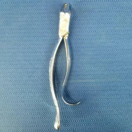 Dental Stainless Steel Extraction Forceps #18L image 3