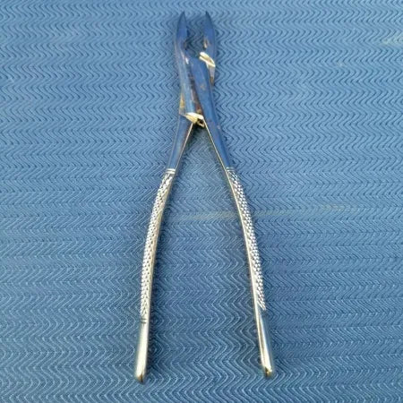 Dental Stainless Steel Extraction Forceps #1 - Dental Equipment Store