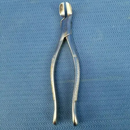 Dental Stainless Steel Extraction Forceps 6 image 1