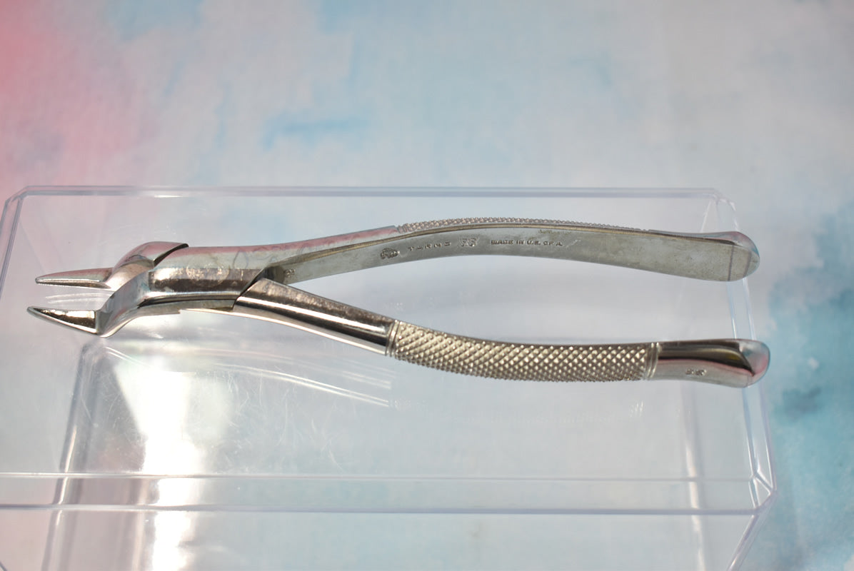 Tarno 65 Forceps - Dental Equipment Store