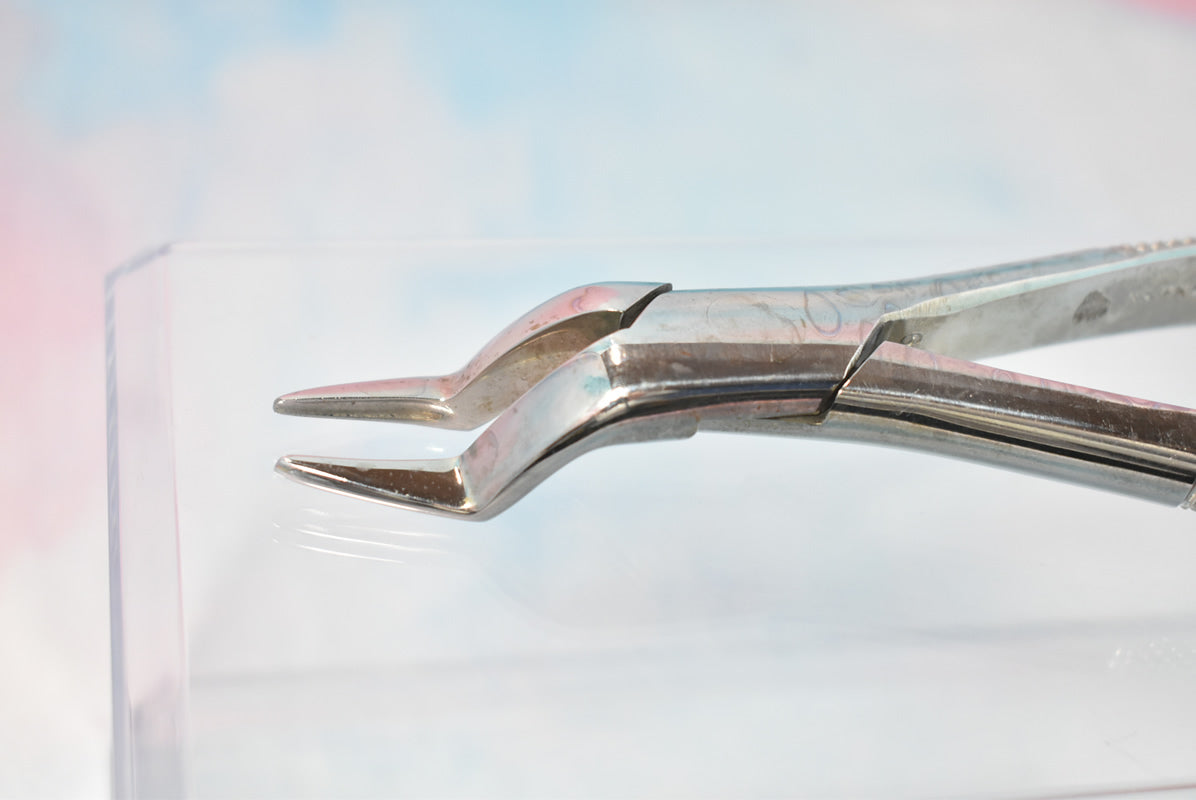 Tarno 65 Forceps - Dental Equipment Store