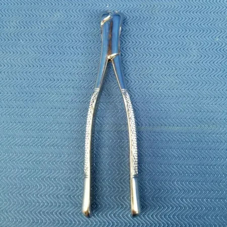 Dental Stainless Steel Extraction Forceps 23 image 3