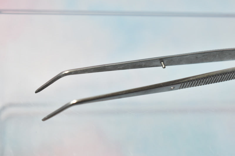 Stainless Cotton Forceps - #0001 - Dental Equipment Store