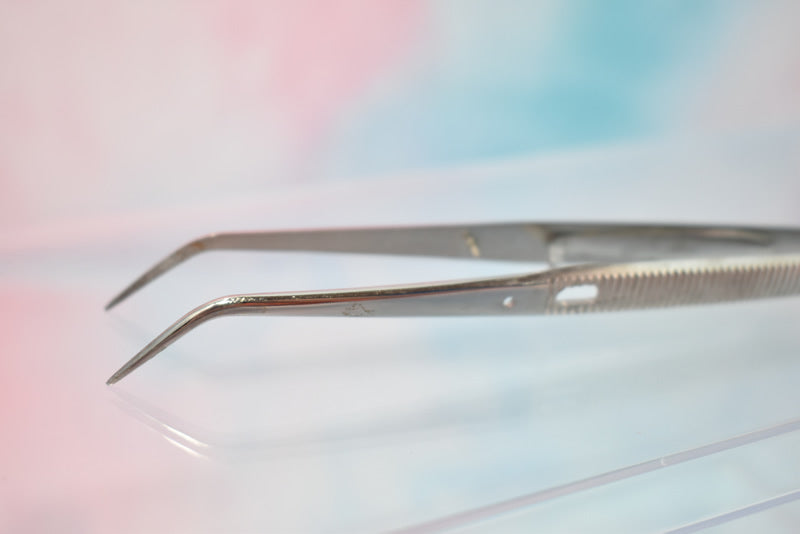 Stainless Cotton Forceps #0003 - Dental Equipment Store