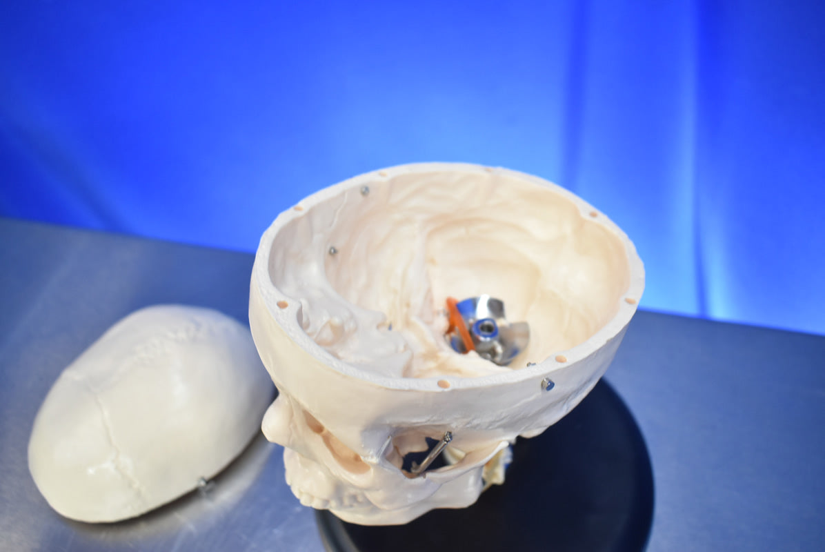 Medical Skull Head Model - Dental Equipment Store