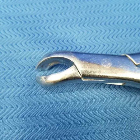 Premier 17 Mandibular Dental Forceps image 2