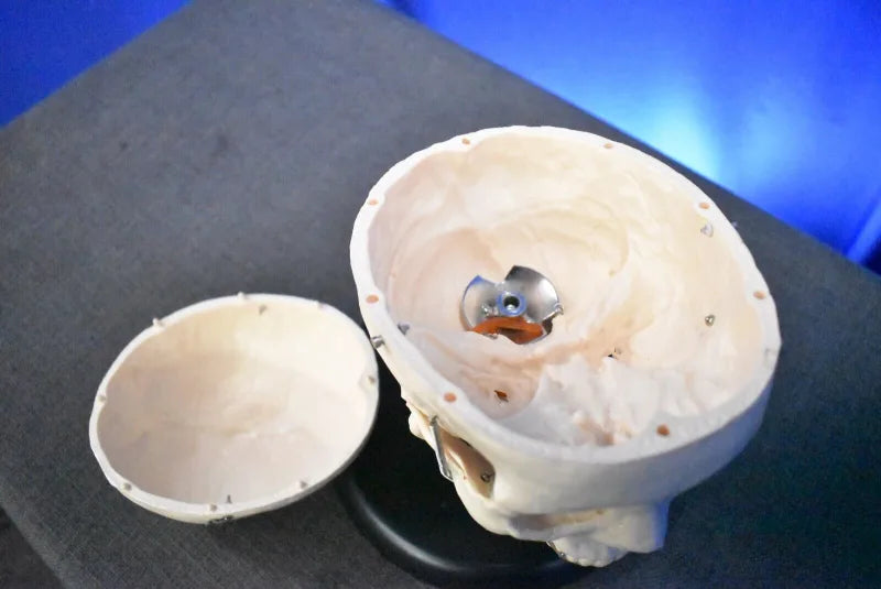 Human Skull Model for Training Purposes - Dental Equipment Store