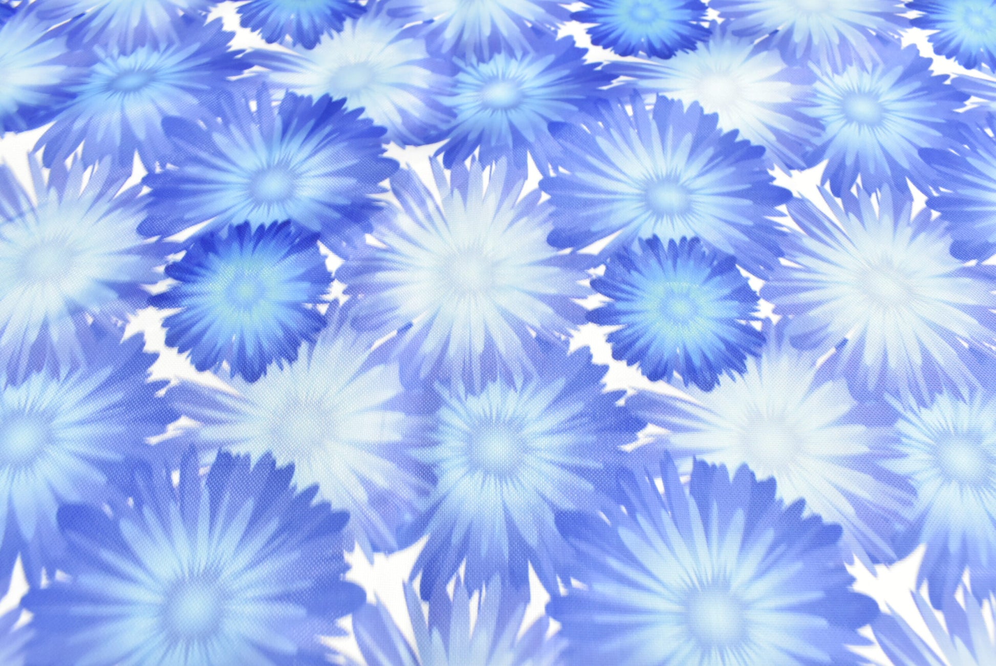 Bar Ray Eclipse Standard Skirt .50mm - Dental Equipment Store