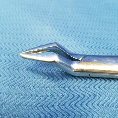 Premier 65 Mandibular Dental Forceps - Dental Equipment Store