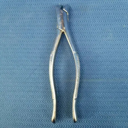 Dental Stainless Steel Extraction Forceps 6 image 0