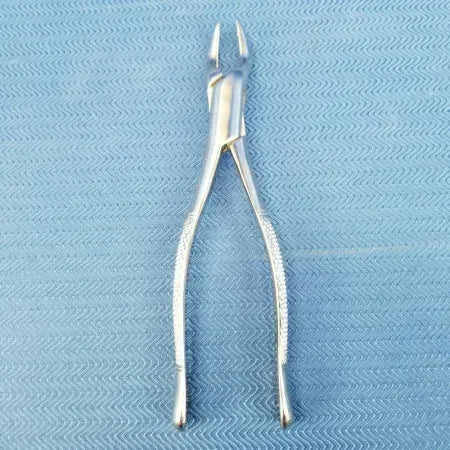 Dental Stainless Steel Extraction Forceps 32 image 0