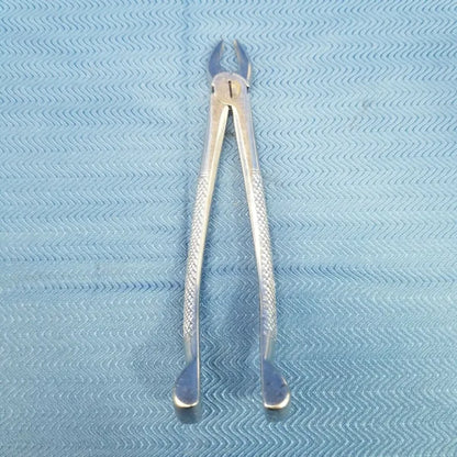 Lustra Dental Forceps - 7 image 4