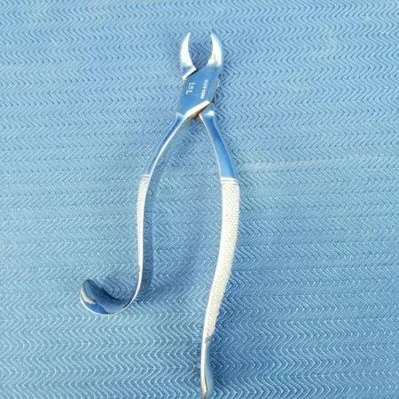 Dental Stainless Steel Extraction Forceps #18L image 3