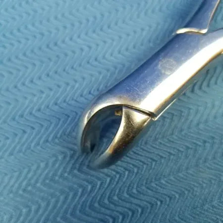 Premier 17 Mandibular Dental Forceps image 2