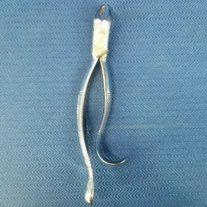 Dental Stainless Steel Extraction Forceps #18L image 3