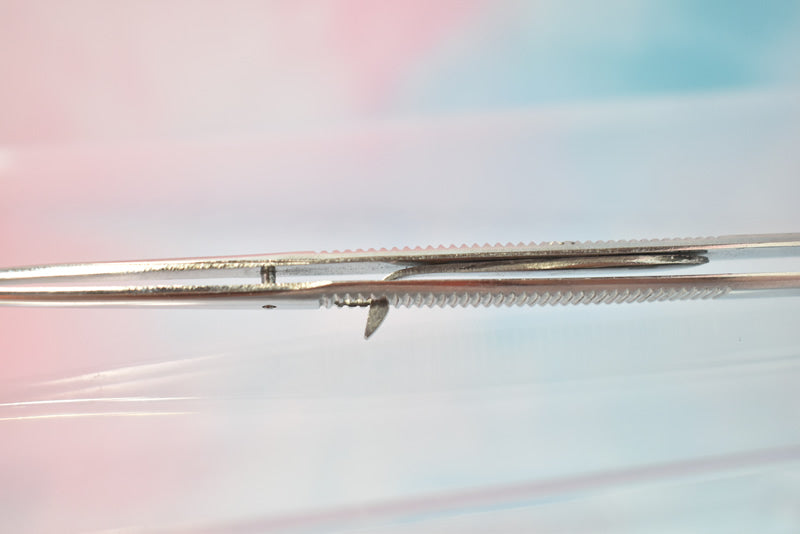 Stainless Cotton Forceps #0003 image 5