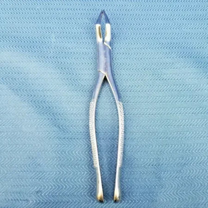 Premier 65 Mandibular Dental Forceps image 0