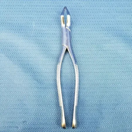 Premier 65 Mandibular Dental Forceps image 0