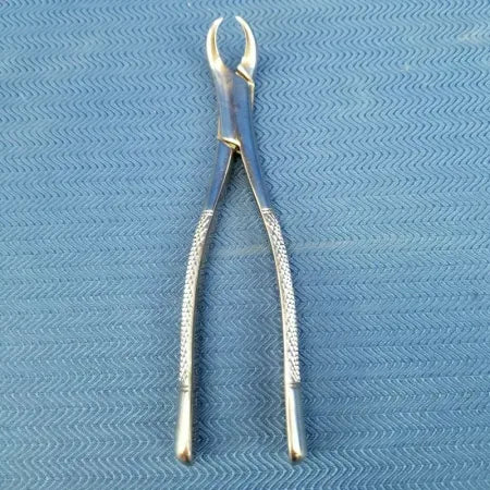Dental Stainless Steel Extraction Forceps 23 image 3