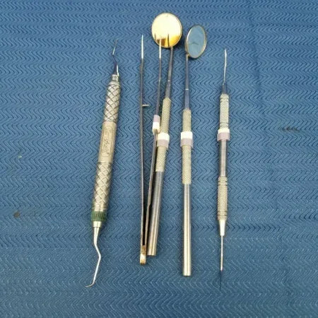 Dental Hygiene Kit Lot of Instruments image 0
