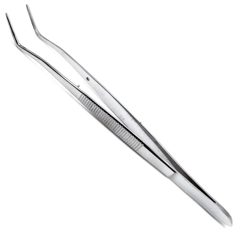 Cotton Forceps image 0