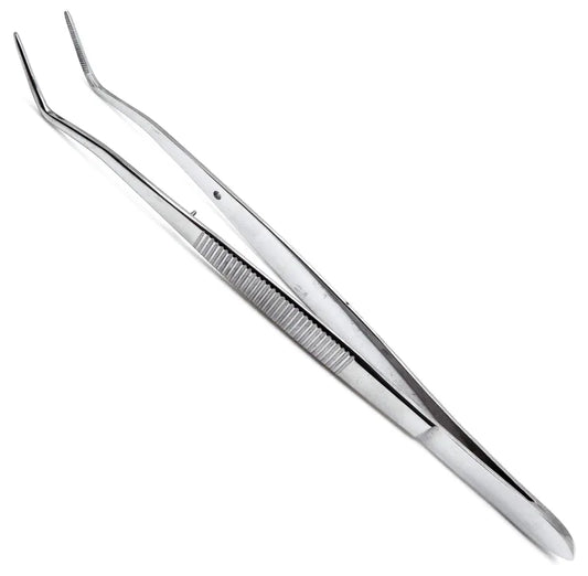 Cotton Forceps image 0
