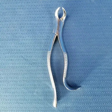 Dental Stainless Steel Extraction Forceps 16 image 0