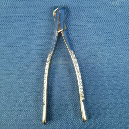 Dental Stainless Steel Extraction Forceps 23 image 0