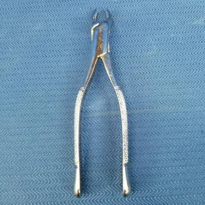 Dental Stainless Steel Extraction Forceps 10S image 0