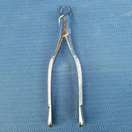 Dental Stainless Steel Extraction Forceps 10S image 0