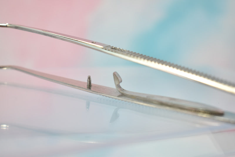Stainless Cotton Forceps #0003 image 6