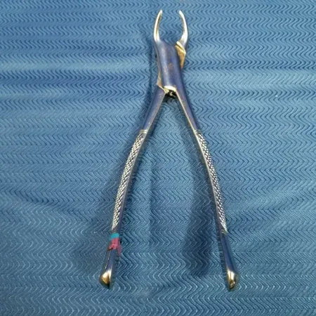 Stainless Steel Extraction Forceps - 151 image 0