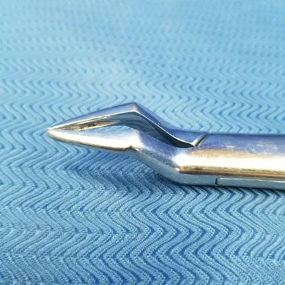 Premier 65 Mandibular Dental Forceps image 2